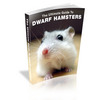 Thumbnail The Ultimate Guide to Dwarf Hamsters