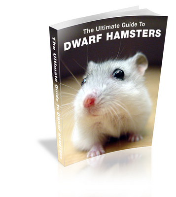 Product picture The Ultimate Guide to Dwarf Hamsters